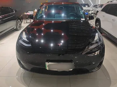 2023 Tesla Model Y Rear-Wheel Drive Edition, фото 2, лот 10394921