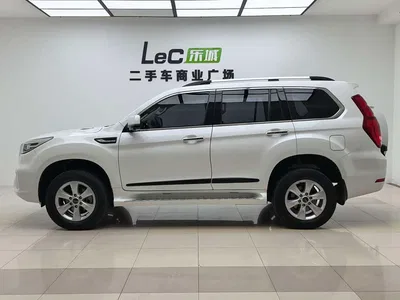 2022 Haval H9 2.0T Gasoline 4WD Smart Enjoyment 5-seater, фото 2, лот 10399807