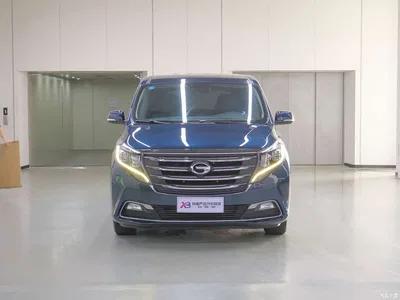 2020 GAC Trumpchi Trumpchi M8 390T Premium, фото 3, лот 11193448