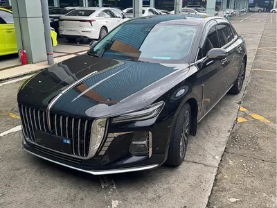 2024 Hongqi H5 2.0T Automatic Smart Connect Flag Smooth Edition, фото 1, лот 10288576