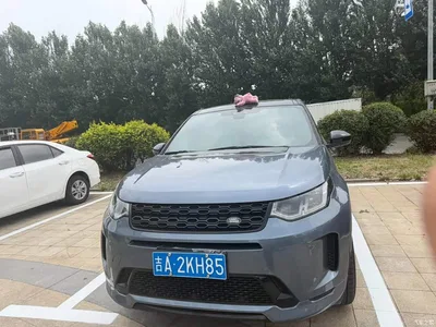 2020 Land Rover Discovery Sport 249PS R-Dynamic Performance Tech 7-seater, фото 3, лот 10321752