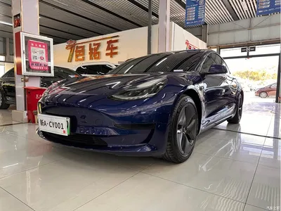 2020 Tesla Model 3 Facelift Standard Range RWD Upgrade, фото 1, лот 11190272