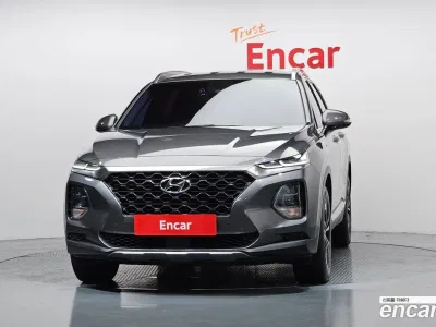 2019 Hyundai Santafe Diesel 2.2 2WD, фото 3, лот 10115665