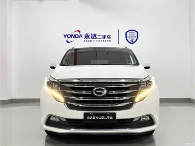 2018 GAC Trumpchi Trumpchi M8 320T Premium Edition, фото 3, лот 10888761