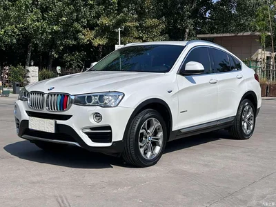 2014 BMW X4 xDrive20i X Design Package, фото 1, лот 10411032