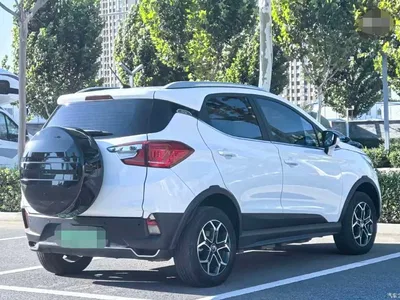 2021 BYD Yuan Pro Eternal Love Edition, фото 4, лот 11172955