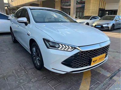 2023 BYD Qin PLUS Champion Edition DM-i 120KM Leading Type, фото 3, лот 11140363
