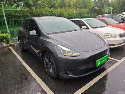2023 Tesla Model Y Long Range All-Wheel Drive Edition, фото 4, лот 10455494