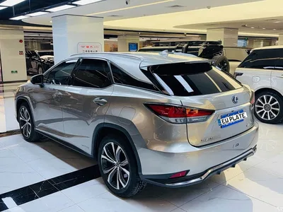 2020 Lexus RX 450h 4WD Luxury Edition China VI, фото 4, лот 10314064