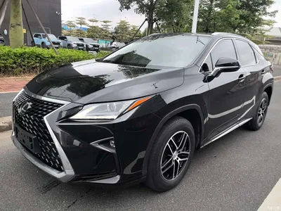 2016 Lexus RX 300 2WD Elite Edition (China V), фото 1, лот 10314688