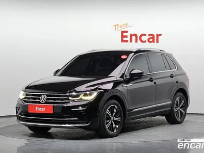 2021 Volkswagen Tiguan 2.0 TDI Premium, фото 1, лот 10111857