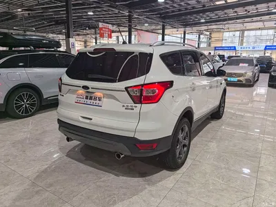 2019 Ford Kuga EcoBoost 245 4WD Luxury Wing Type China VI, фото 2, лот 11199401