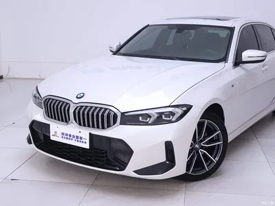 2023 BMW 3 Series 320Li M Sport Package, фото 3, лот 11189768