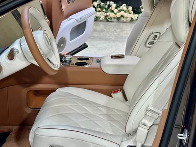2025 Zunjie S800 Model Extended Range Starlight Executive Edition 4-seater, фото 4, лот 10395784