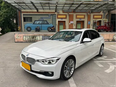 2019 BMW 3 Series 320Li Fashion Type, фото 1, лот 10899853
