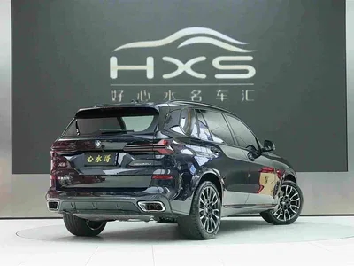 2025 BMW X5 Model xDrive 40Li M Sport Blackout Package, фото 4, лот 10410457