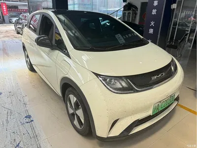 2023 BYD Dolphin 420km Fashion Edition, фото 2, лот 10255215