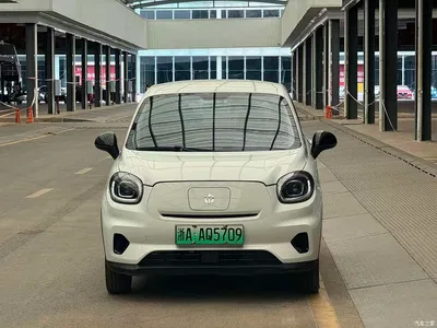 2022 Leapmotor T03 Agate Edition, фото 2, лот 10317448