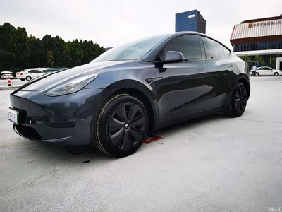 2024 Tesla Model Y Rear-Wheel Drive Version, фото 1, лот 11548366