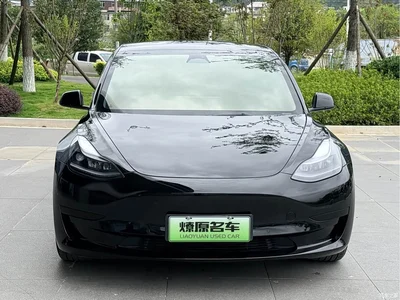 2022 Tesla Model 3 Model Rear-Wheel Drive Version, фото 2, лот 10352543