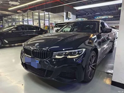 2021 BMW 3 Series 320Li M Sport Package, фото 1, лот 11219803