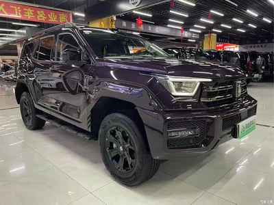 2025 Tank 400 New Energy Hi4-Z, фото 3, лот 10345088