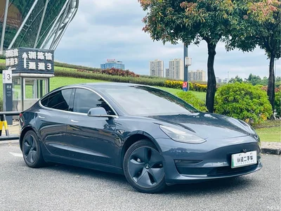 2020 Tesla Model 3 Facelift Long Range Rear-Wheel Drive, фото 3, лот 11548455