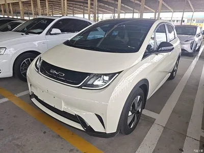 2023 BYD Dolphin 420km Freedom Edition, фото 2, лот 10260234