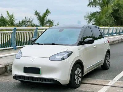 2024 Wuling Motors Wuling Bingo 410km Smart Premium Edition, фото 3, лот 10372204