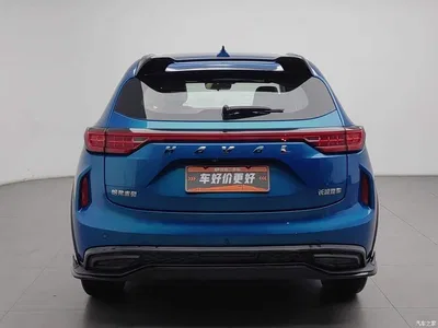 2021 Haval Chitu Turbo Edition 1.5T Golden Rabbit, фото 4, лот 11205185