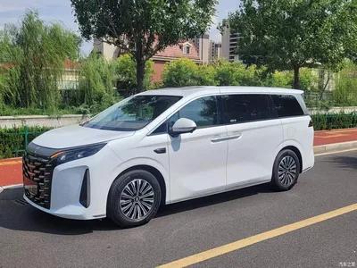 2025 BYD Xia DM-i 1.5T 180km Excellence, фото 2, лот 10258399