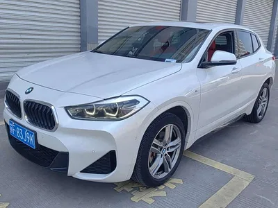 2020 BMW X2 sDrive25i Leading M Sport Package, фото 1, лот 11136088