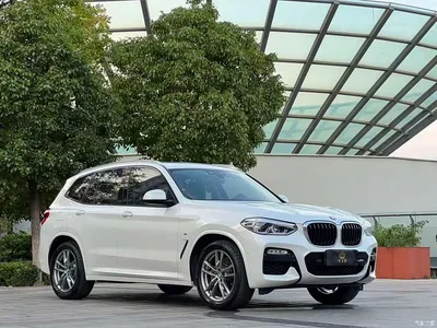 2018 BMW X3 xDrive25i M Sport Package China VI, фото 3, лот 11073982