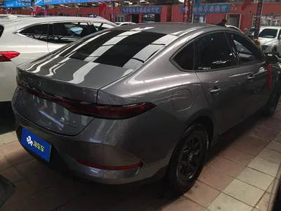 2025 BYD Qin PLUS DM-i Smart Drive 55KM Leader, фото 3, лот 10450709