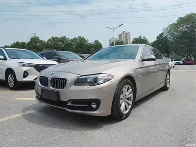 2014 BMW 5 Series 520Li Elegance, фото 1, лот 11580501