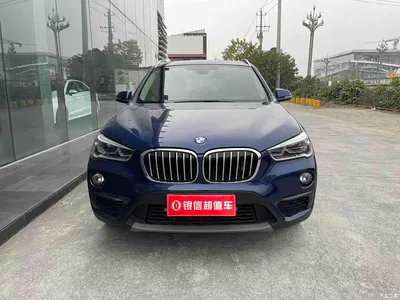 2019 BMW X1 sDrive20Li Leading Model, фото 4, лот 10465033