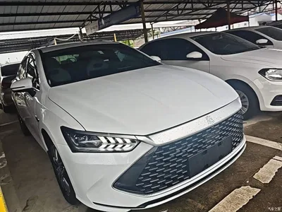 2024 BYD Qin PLUS Glory Edition DM-i 120KM Leading, фото 4, лот 10362792