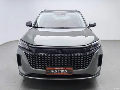 2023 Landian E5 1.5L DE-i 110KM Flagship 5-seater, фото 3, лот 11643830