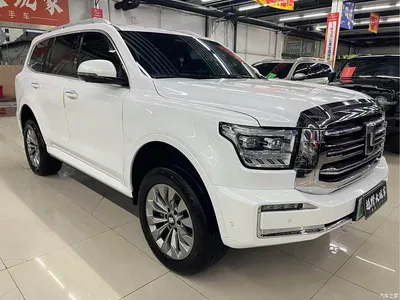 2024 Tank 500 EV Hi4-T, фото 2, лот 11242110