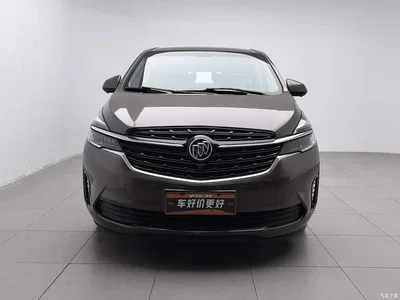 2021 Buick GL8 Land Business Class 652T Comfort, фото 3, лот 10248826