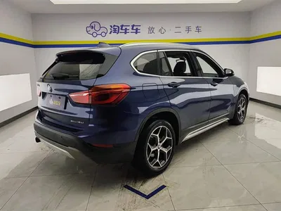 2019 BMW X1 sDrive18Li Premium Model, фото 3, лот 10465877