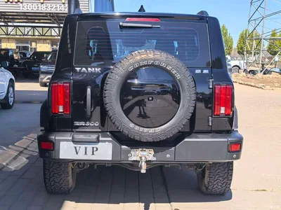 2021 Tank 300 Off-road Version 2.0T Conqueror, фото 3, лот 11548807