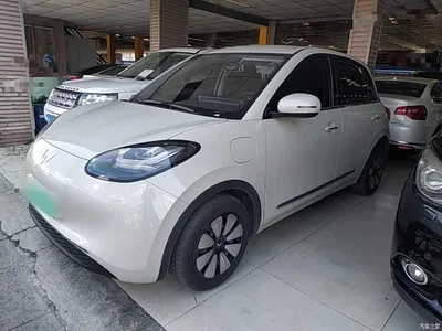 2024 Wuling Motors Wuling Bingo 333km Comfort Edition, фото 1, лот 10369036