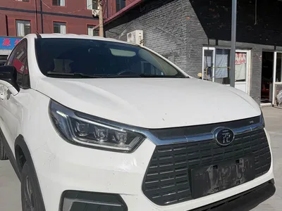 2019 BYD Yuan New Energy EV535 Smart Connected Trend Leader Type, фото 1, лот 10435248