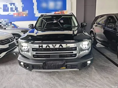 2024 Haval Big Dog 1.5T DCT Border Collie Edition, фото 3, лот 10434171