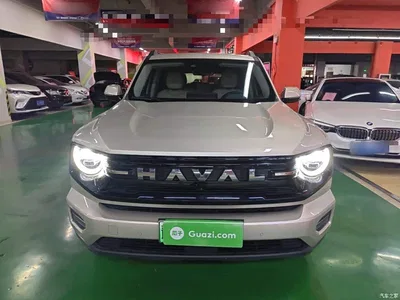 2025 Haval Second-Generation Big Dog New Energy Hi4 145km Premium Edition, фото 3, лот 11144528
