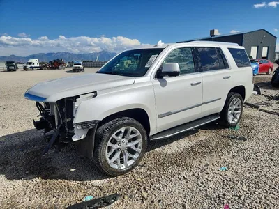 2017 CADILLAC ESCALADE LUXURY, фото 1, лот 11394725