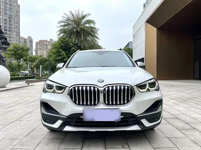 2021 BMW X1 Facelift xDrive25Li Premium, фото 3, лот 10467384