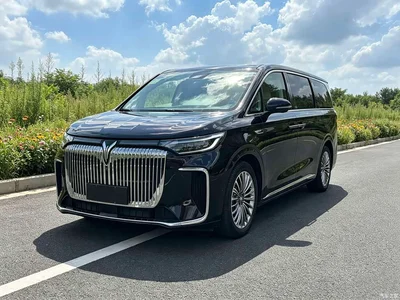 2025 Voyah Auto Voyah Dreamer PHEV 4WD Kunpeng Premium Edition, фото 1, лот 10819422