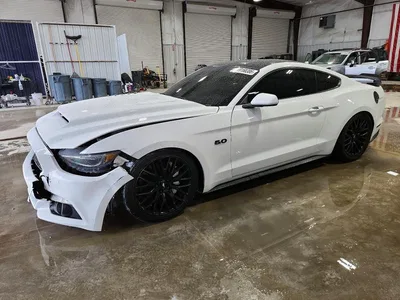 2017 FORD MUSTANG GT, фото 1, лот 11282117